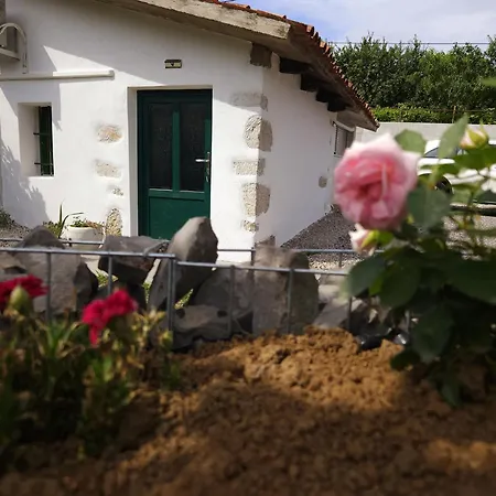 Apartma Lavanda Vremski Britof Buitenkant foto