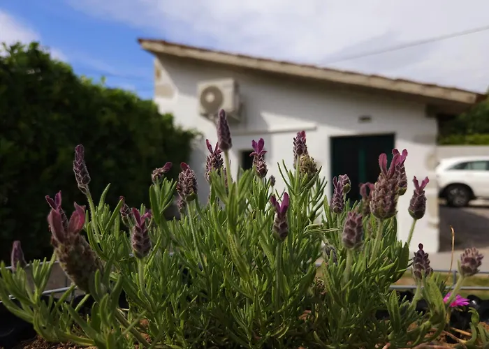 Apartma Lavanda