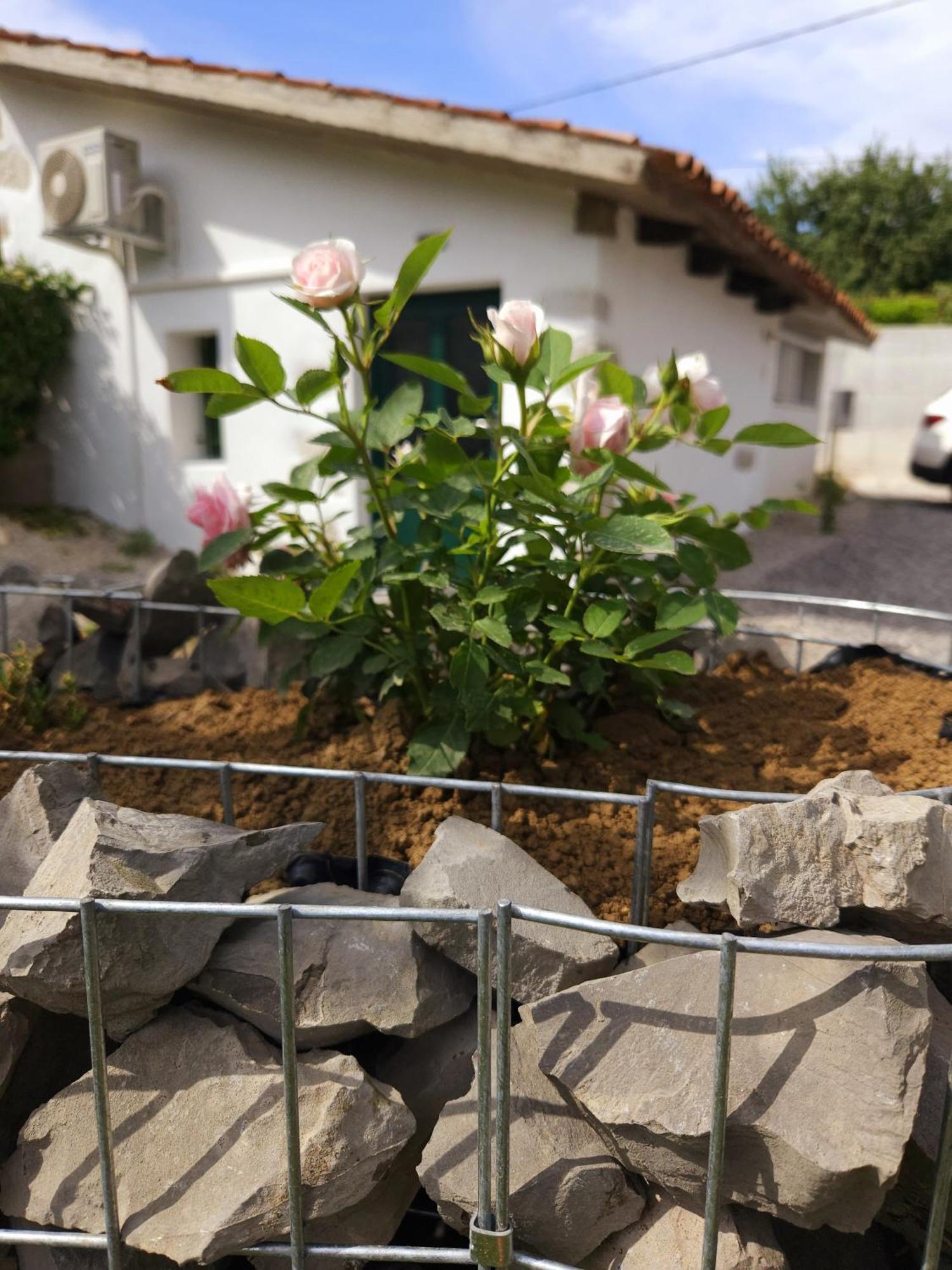 Apartma Lavanda Vremski Britof